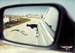 Аватар користувача