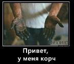 Аватар користувача