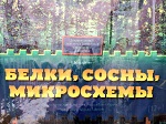 Аватар користувача