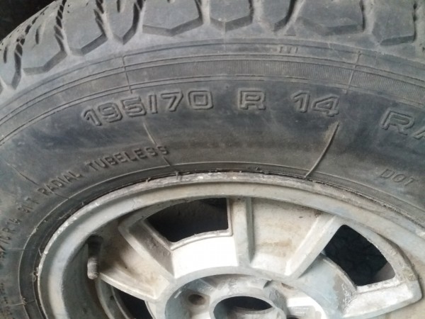 20180914_125856.jpg