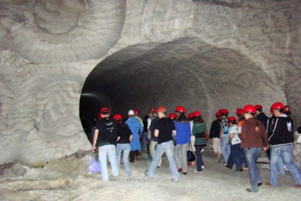 640x480_crop_thumb_2796340151245406227.JPG