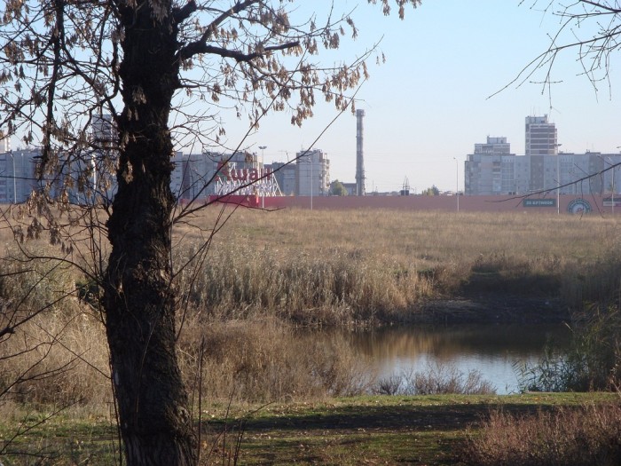 DSC07238.JPG