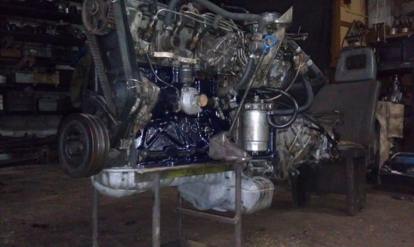 IMAG0950.jpg